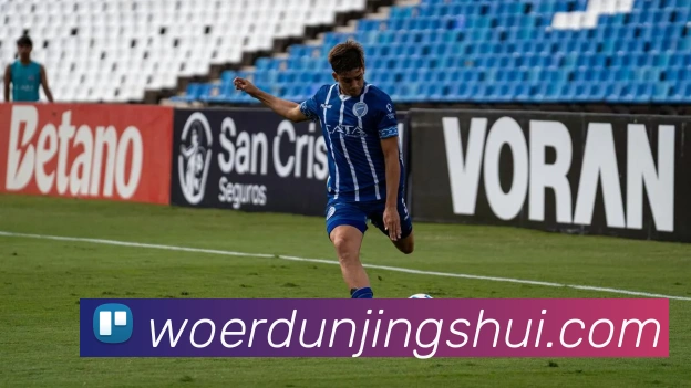 星空app官方站官网，星空（中国）平台生态图